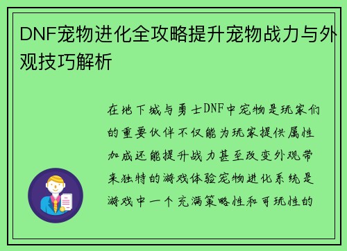 DNF宠物进化全攻略提升宠物战力与外观技巧解析